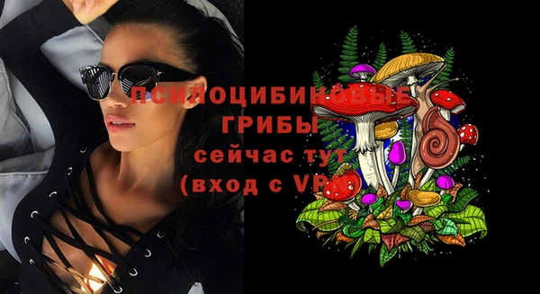 ешки Вяземский